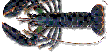 confrariacedeira007014